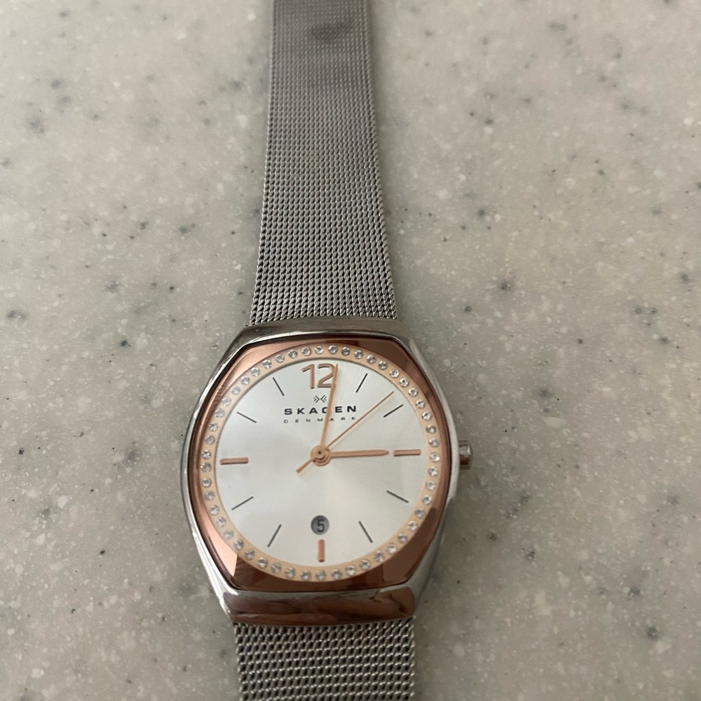 Skagen Watch - image 1